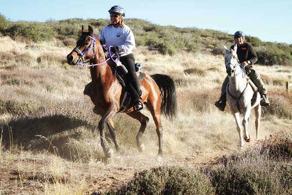 best of both endurance ride - photo by annie libby photography